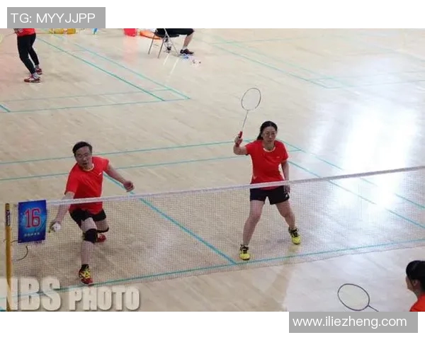 赛后分析：北京羽毛球队与杭州羽毛球队速度对比及战术探讨