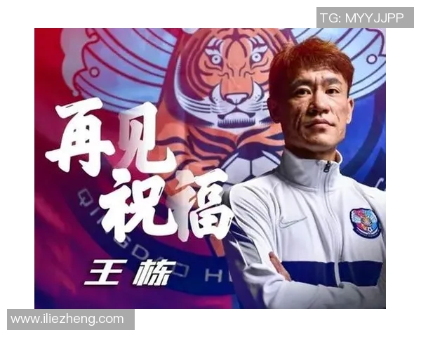 重庆排球队状态分析：聚焦球队表现与未来发展方向