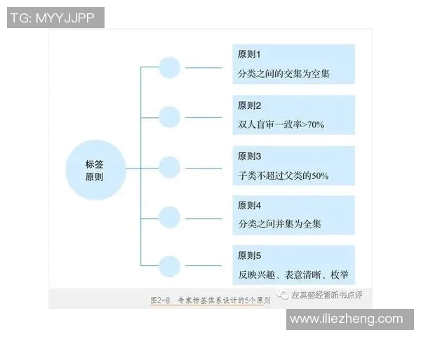 西安篮球队战术解析：构建高效控制体系的策略与实践