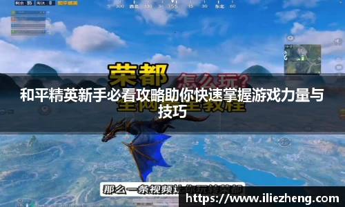 VSport胜利因您更精彩