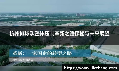 杭州排球队整体压制革新之路探秘与未来展望