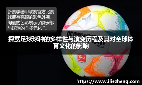 探索足球球种的多样性与演变历程及其对全球体育文化的影响